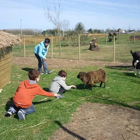 Luxuszelt Zecamping 4 Familial Pet Friendly Restaurant Et Espace Aquatique