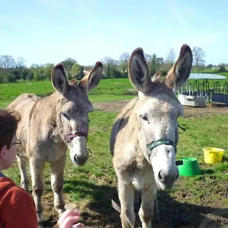 Luxuszelt Zecamping 4 Familial Pet Friendly Restaurant Et Espace Aquatique Soullans