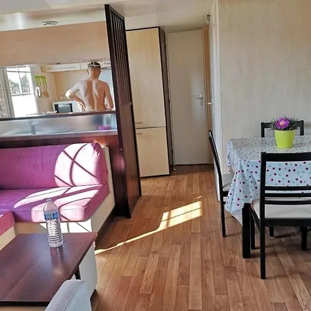 Zecamping 4 Familial Pet Friendly Restaurant Et Espace Aquatique 4* Soullans