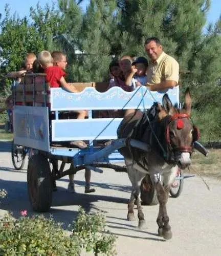 Zecamping 4 Familial Pet Friendly Restaurant Et Espace Aquatique 4*