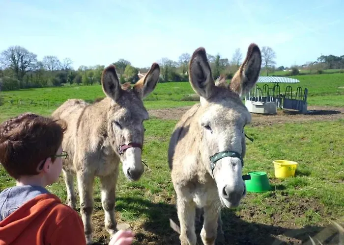 豪华帐篷 Zecamping 4 Familial Pet Friendly Restaurant Et Espace Aquatique Soullans